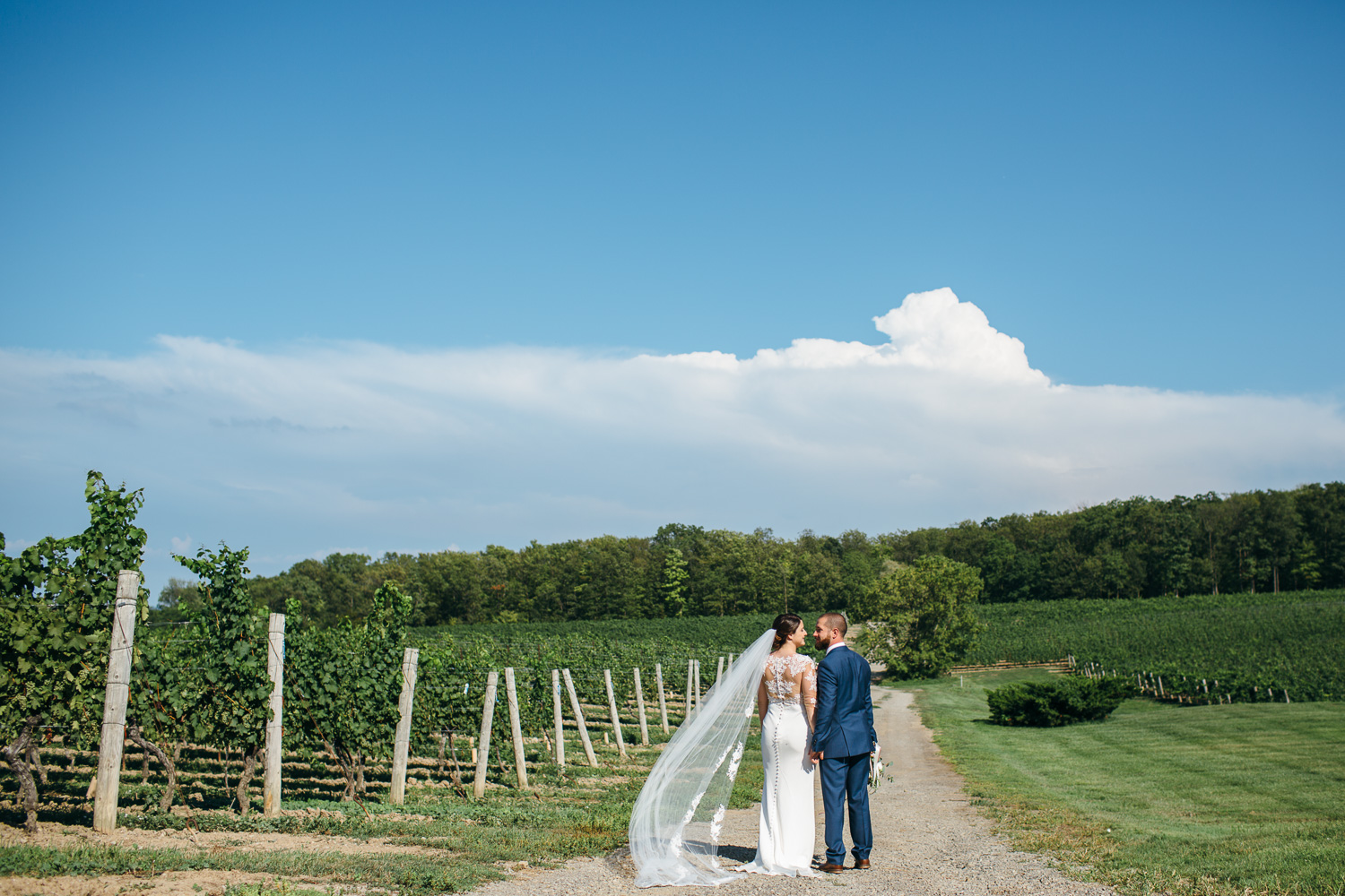Vineland Estates Wedding - Niagara Photographer